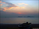 DSCF3982