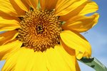 2009_08_29_0008