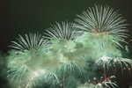 20090127_Fireworks_0004
