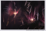 FIREWORK_15