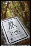 Dragonback_004