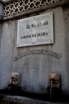 IMG_4282