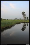 nam_012