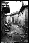 TRIP_1001