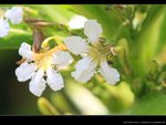 IMG_9736