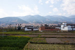 IMG_1174