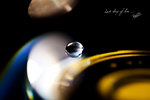 IMG_3865-1_