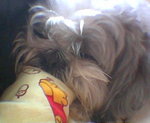 kabi