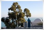 Sidi Bou Said