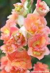 fs08_08