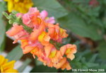fs08_10