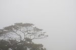 IMG_9047