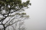 IMG_9060