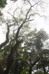 IMG_9072