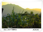 DPP_00077