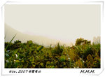 DPP_00078