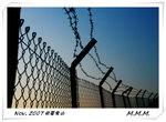 DPP_00081