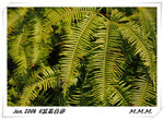 DPP_00076