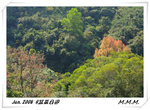 DPP_00078