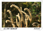 DPP_00085