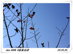 DPP_00087
