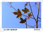 DPP_00089