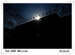 DPP_00095