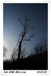 DPP_00180