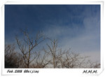 DPP_00231