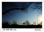 DPP_00273