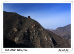 DPP_00154