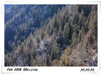 DPP_00155