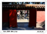 DPP_00251