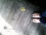 IMG_20100917_080254??