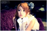 MemiBonus(Resized800)001