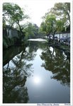 IMG_6091