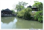 IMG_6050