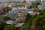 
KYOTO �����ʳ�