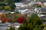 
KYOTO �����ʳ�
