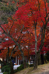 IMG_3523Rss