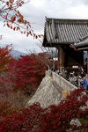 KIYOMIZU-dera �ʳ��M���x