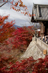 KIYOMIZU-dera �ʳ��M���x