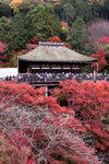 
KIYOMIZU-dera �ʳ��M���x