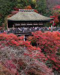 
KIYOMIZU-dera �ʳ��M���x