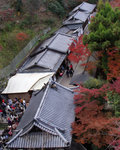 IMG_3542R8ss