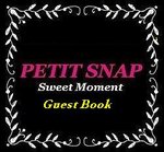 logo_petit_snap_guestbook