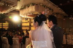vigina_john 484
