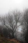 DSC_1859