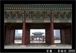 DSC_0353 copy