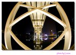 DSC_7305 copy